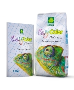 DIERA CR EASYCOLOR